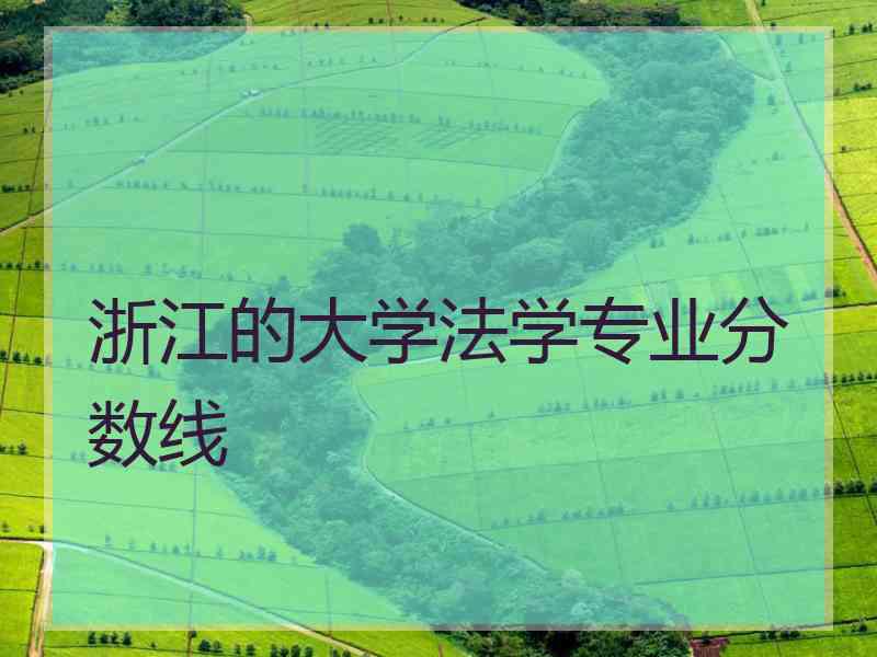 浙江的大学法学专业分数线