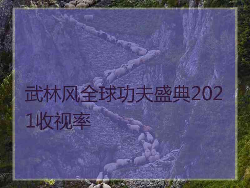 武林风全球功夫盛典2021收视率