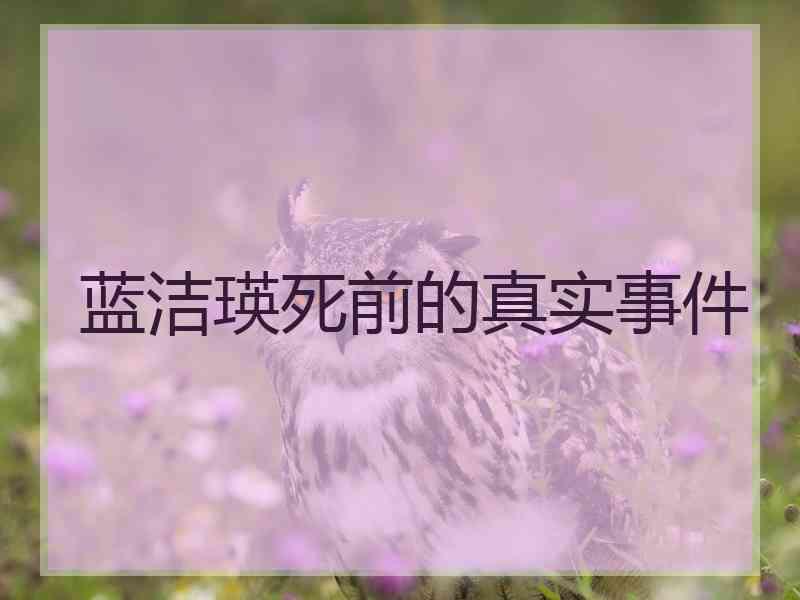 蓝洁瑛死前的真实事件