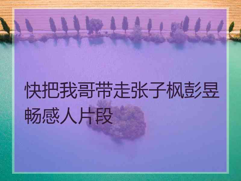 快把我哥带走张子枫彭昱畅感人片段