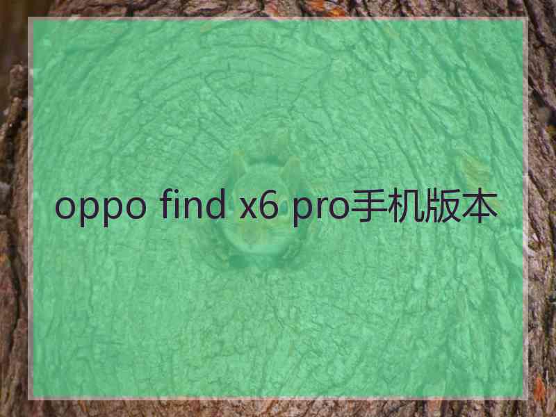 oppo find x6 pro手机版本