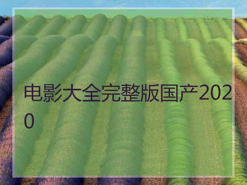 电影大全完整版国产2020