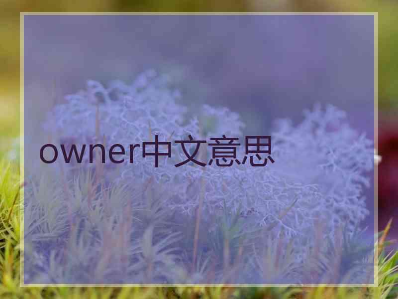 owner中文意思