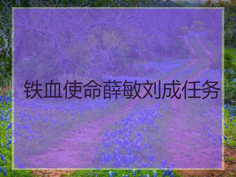 铁血使命薛敏刘成任务