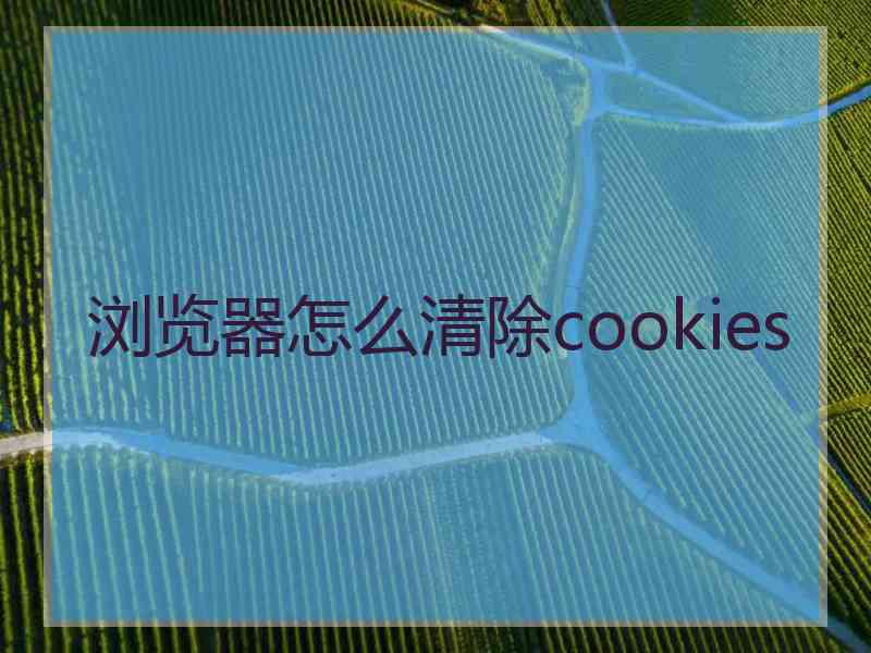 浏览器怎么清除cookies