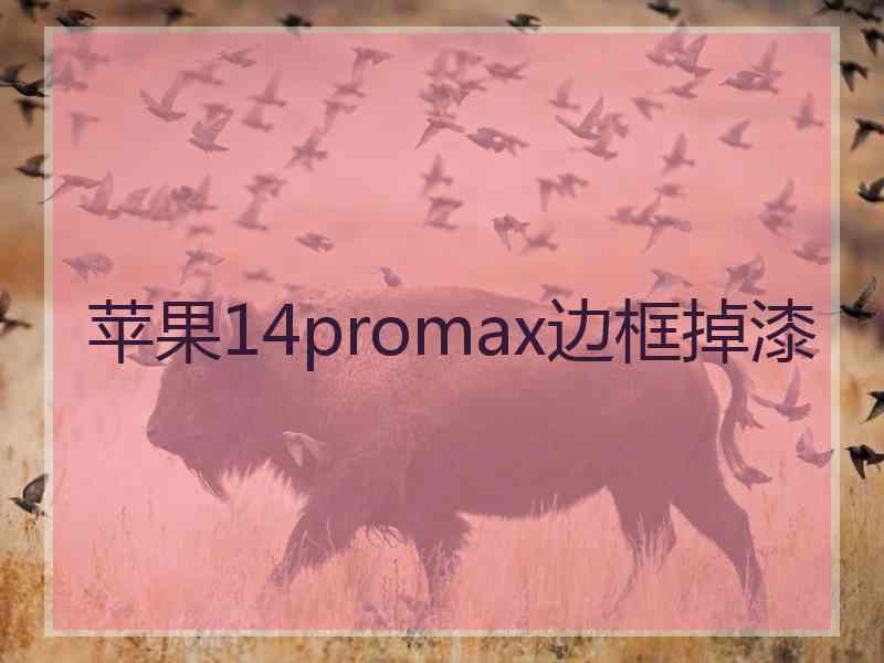 苹果14promax边框掉漆