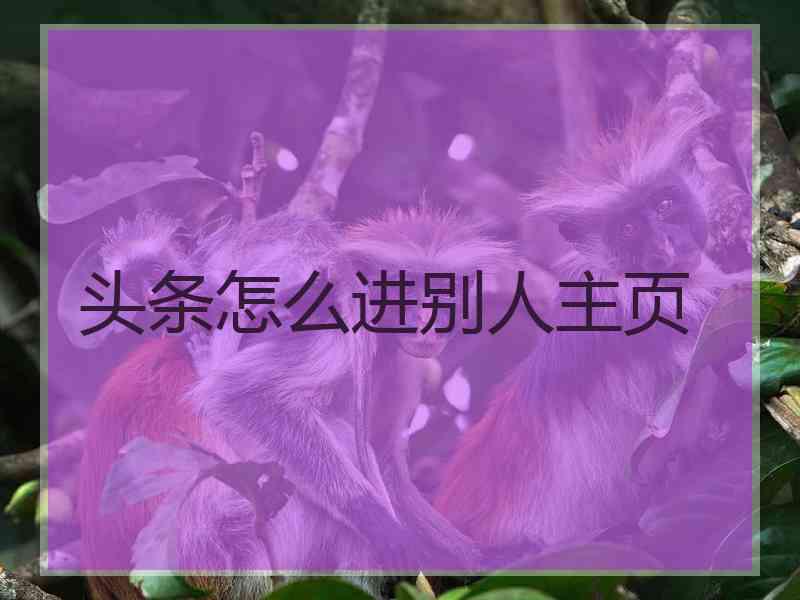 头条怎么进别人主页