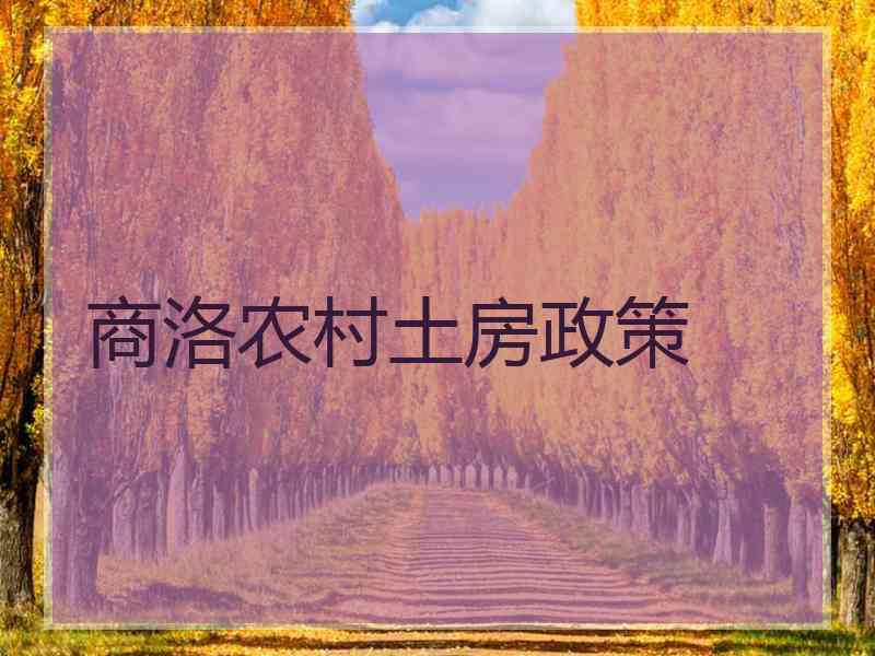 商洛农村土房政策