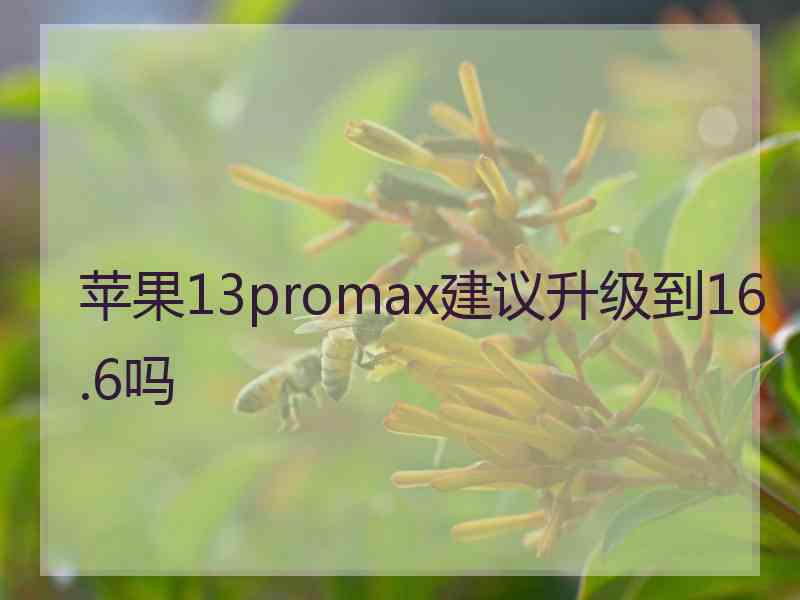 苹果13promax建议升级到16.6吗