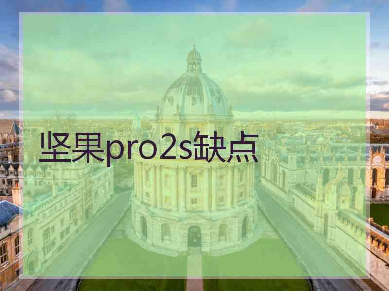 坚果pro2s缺点