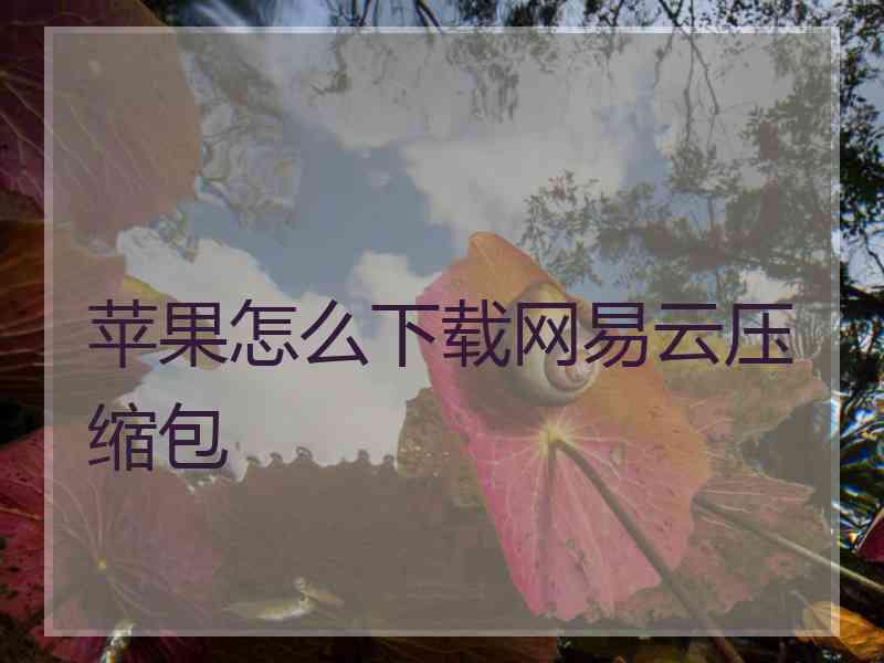 苹果怎么下载网易云压缩包