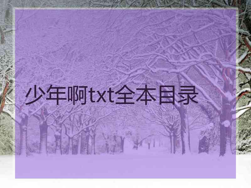 少年啊txt全本目录