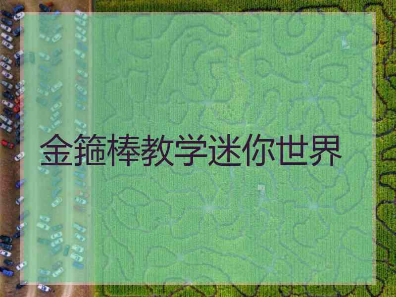 金箍棒教学迷你世界