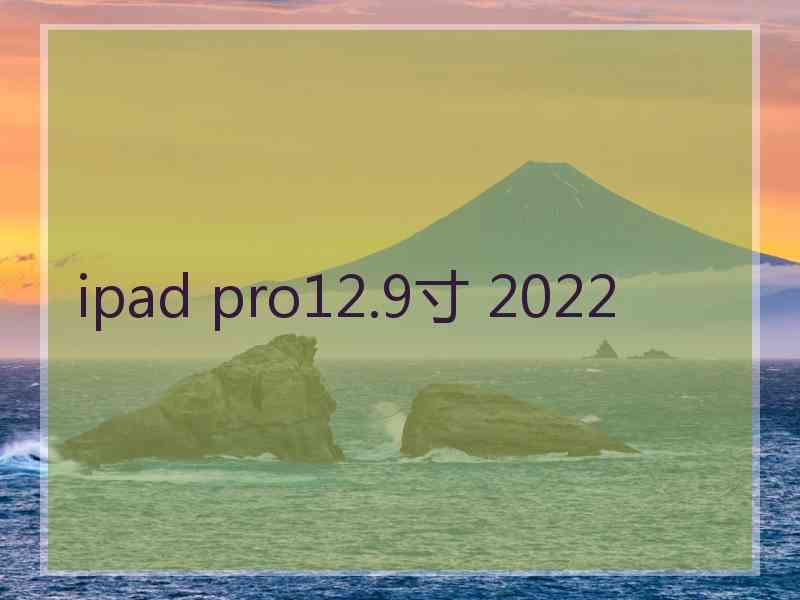 ipad pro12.9寸 2022