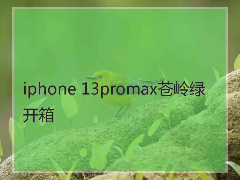 iphone 13promax苍岭绿开箱