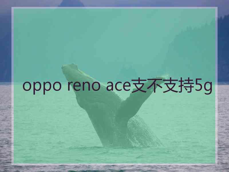 oppo reno ace支不支持5g