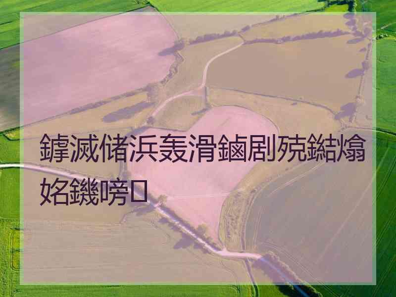 鎼滅储浜轰滑鏀剧殑鐑熻姳鐖嗙