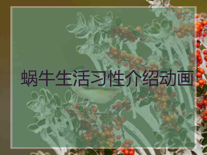 蜗牛生活习性介绍动画