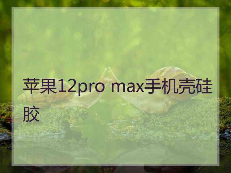 苹果12pro max手机壳硅胶