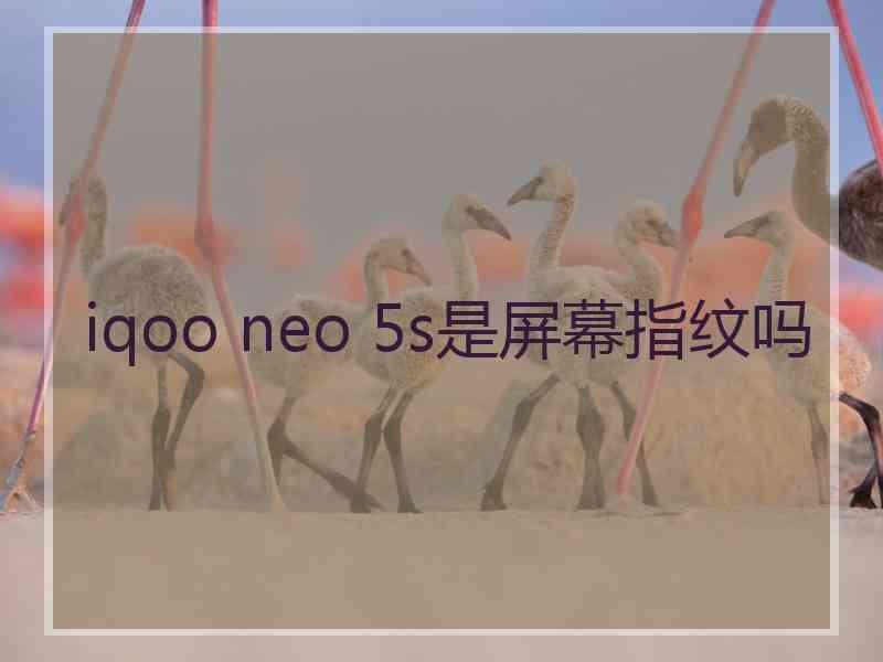 iqoo neo 5s是屏幕指纹吗