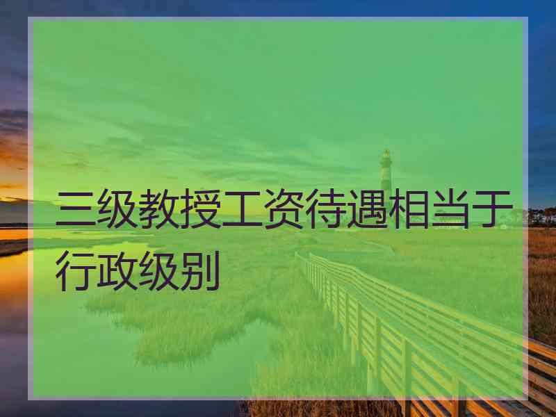 三级教授工资待遇相当于行政级别