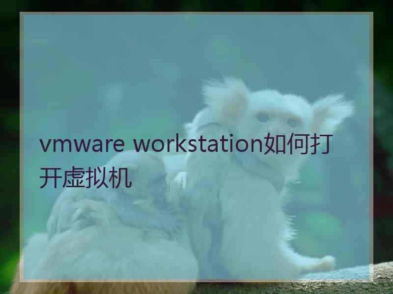 vmware workstation如何打开虚拟机