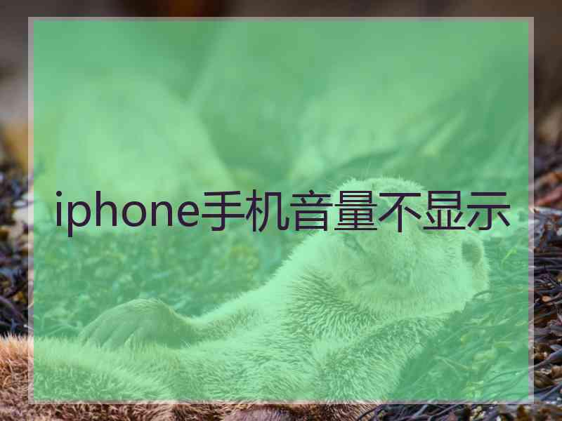 iphone手机音量不显示