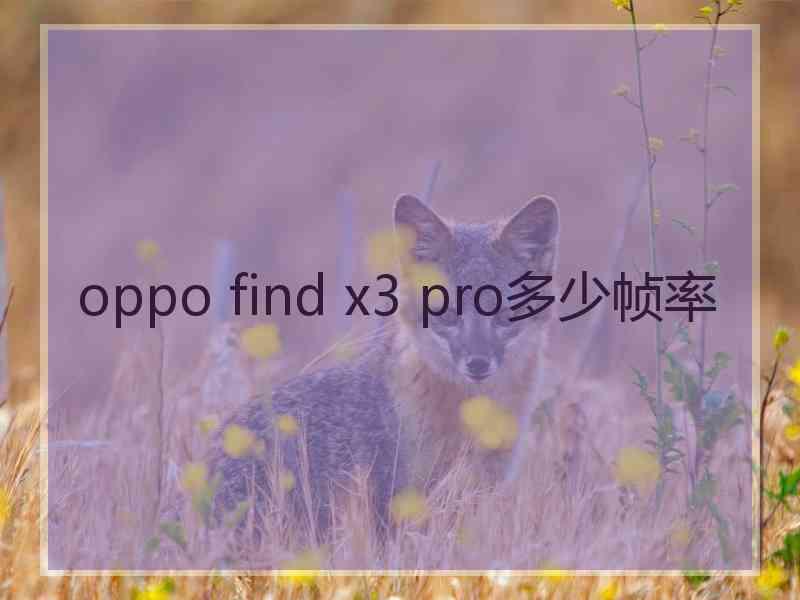 oppo find x3 pro多少帧率