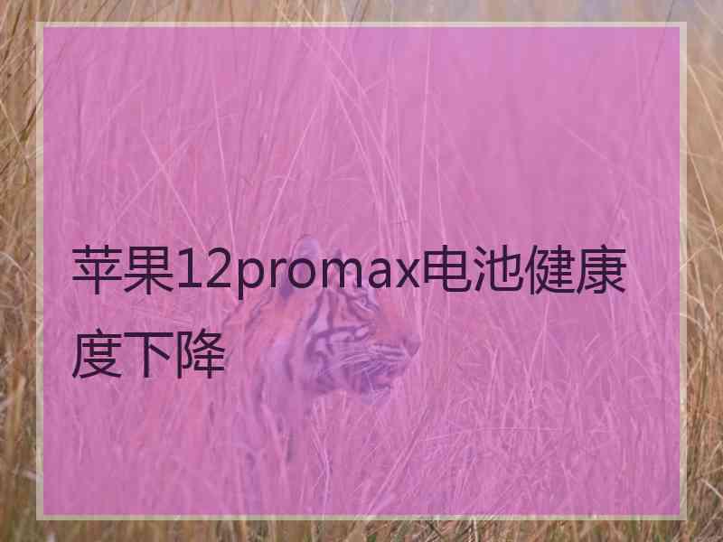 苹果12promax电池健康度下降