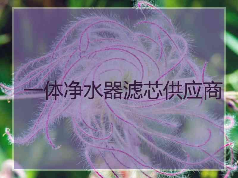 一体净水器滤芯供应商