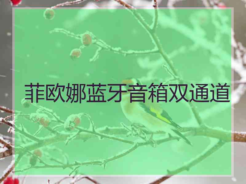 菲欧娜蓝牙音箱双通道