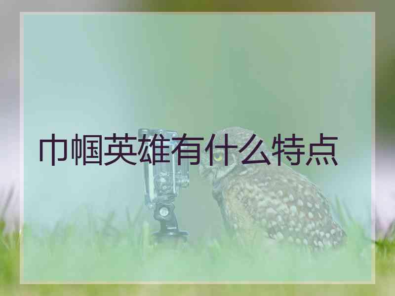 巾帼英雄有什么特点