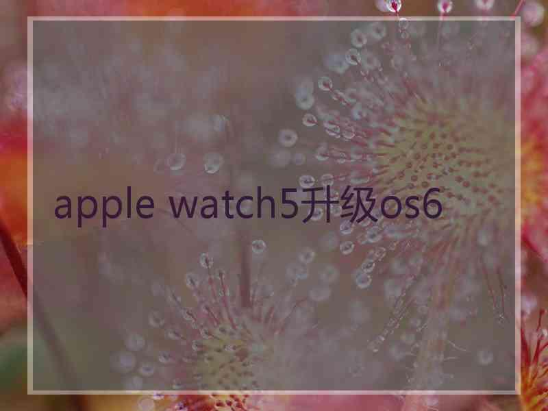 apple watch5升级os6