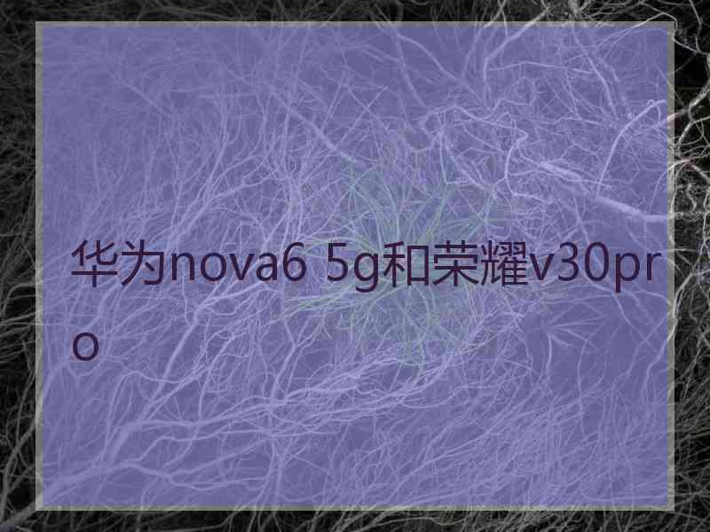 华为nova6 5g和荣耀v30pro