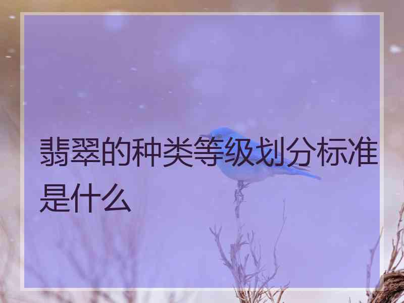 翡翠的种类等级划分标准是什么