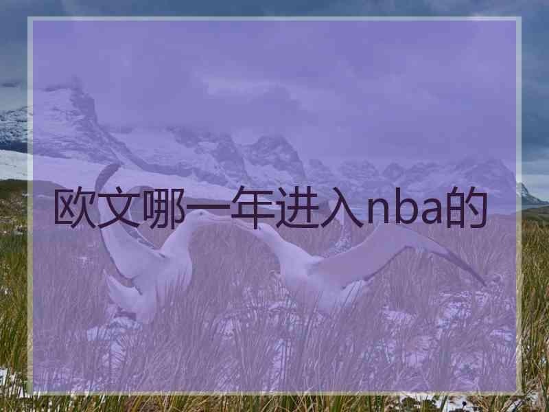 欧文哪一年进入nba的