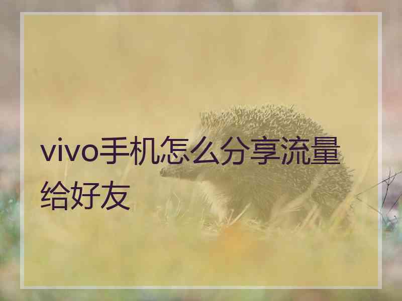 vivo手机怎么分享流量给好友