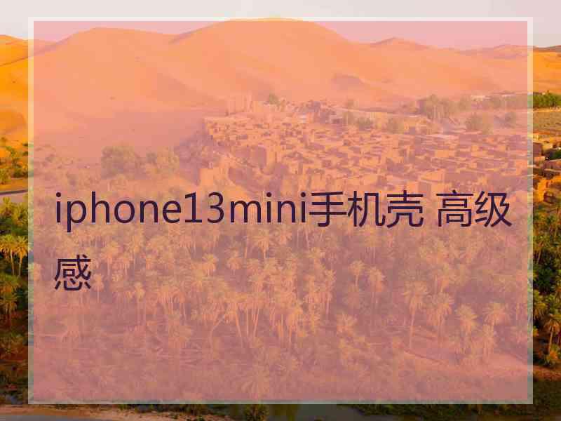 iphone13mini手机壳 高级感