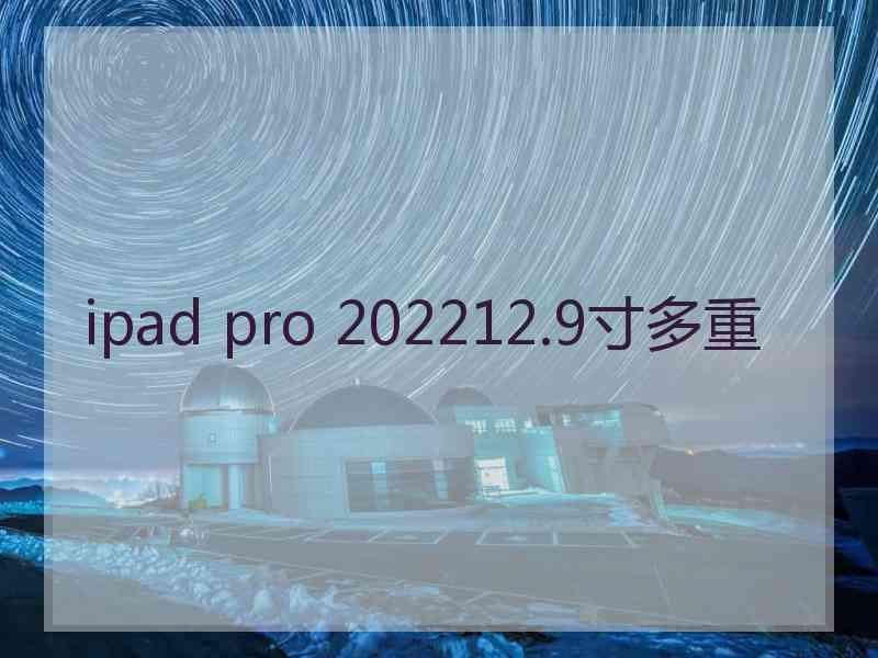 ipad pro 202212.9寸多重