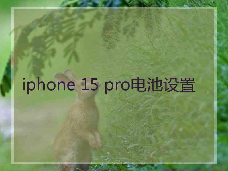 iphone 15 pro电池设置