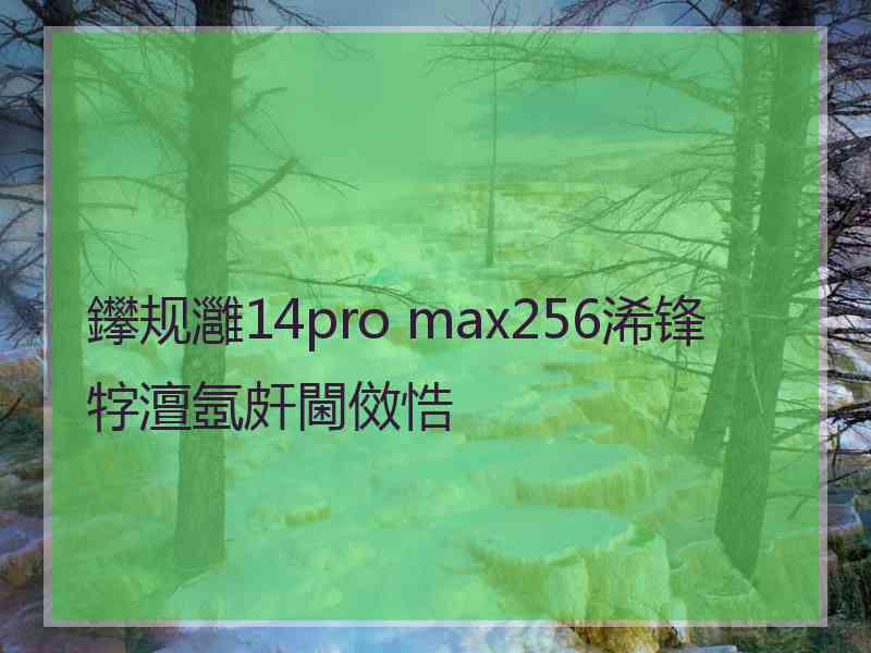 鑻规灉14pro max256浠锋牸澶氬皯閫傚悎