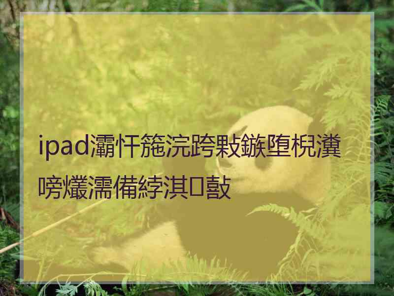 ipad灞忓箷浣跨敤鏃堕棿瀵嗙爜濡備綍淇敼