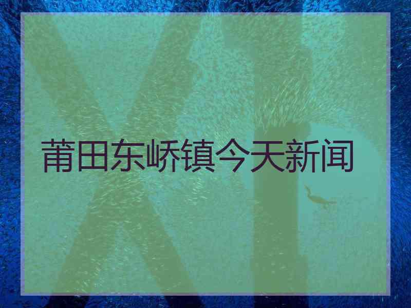 莆田东峤镇今天新闻