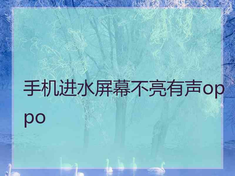 手机进水屏幕不亮有声oppo