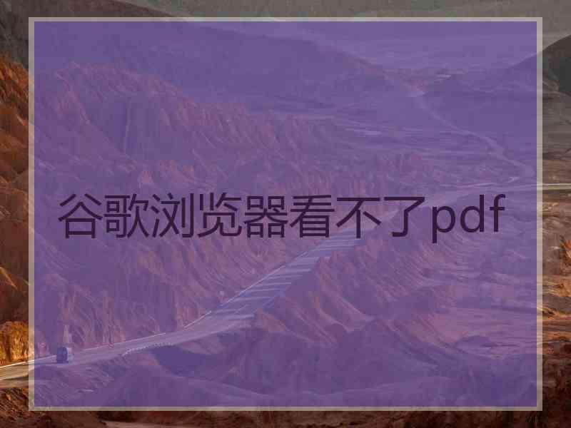 谷歌浏览器看不了pdf