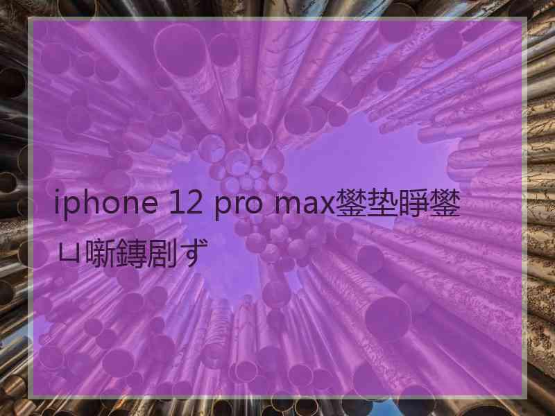 iphone 12 pro max鐢垫睜鐢ㄩ噺鏄剧ず