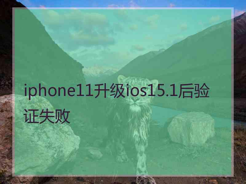 iphone11升级ios15.1后验证失败