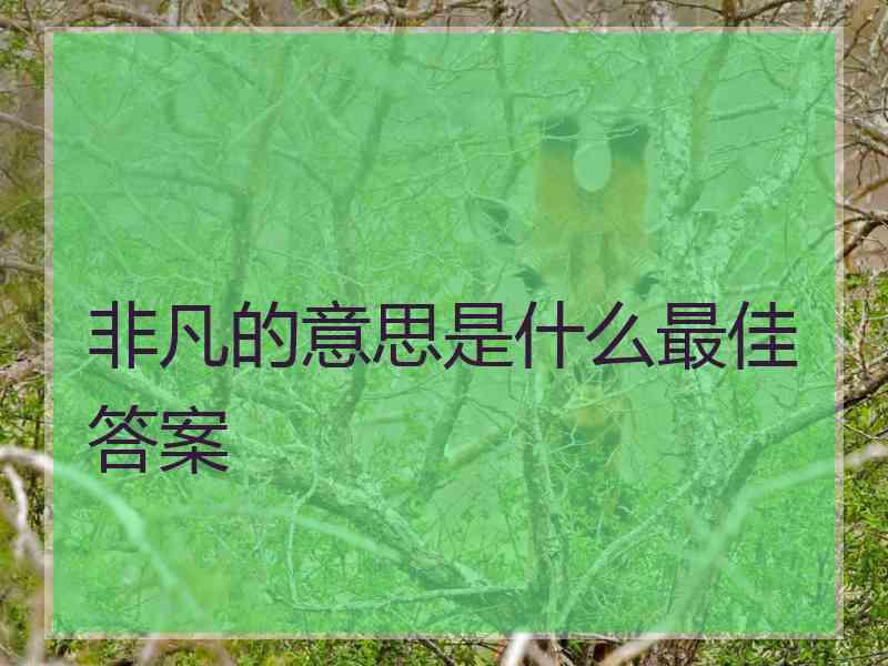 非凡的意思是什么最佳答案