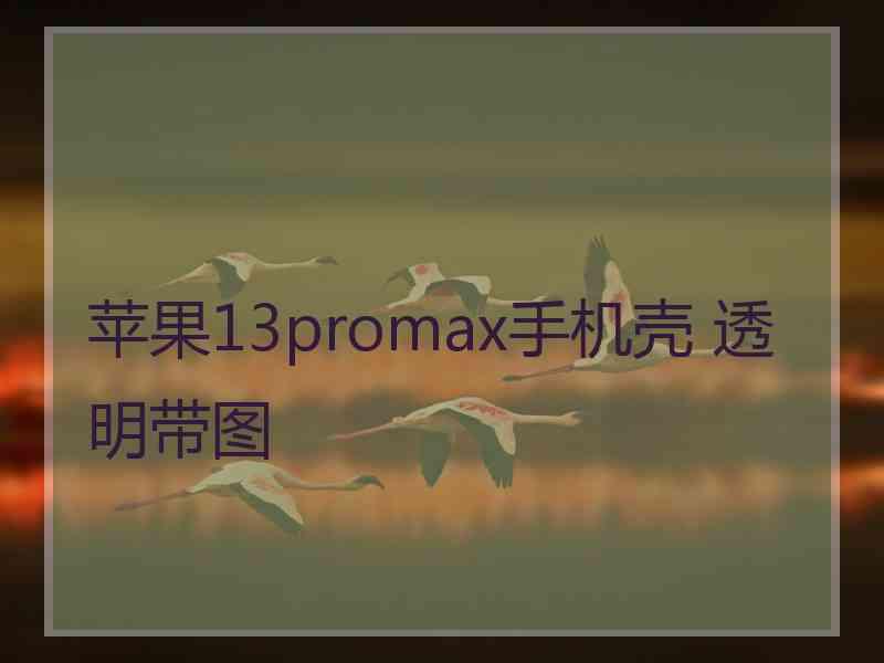 苹果13promax手机壳 透明带图