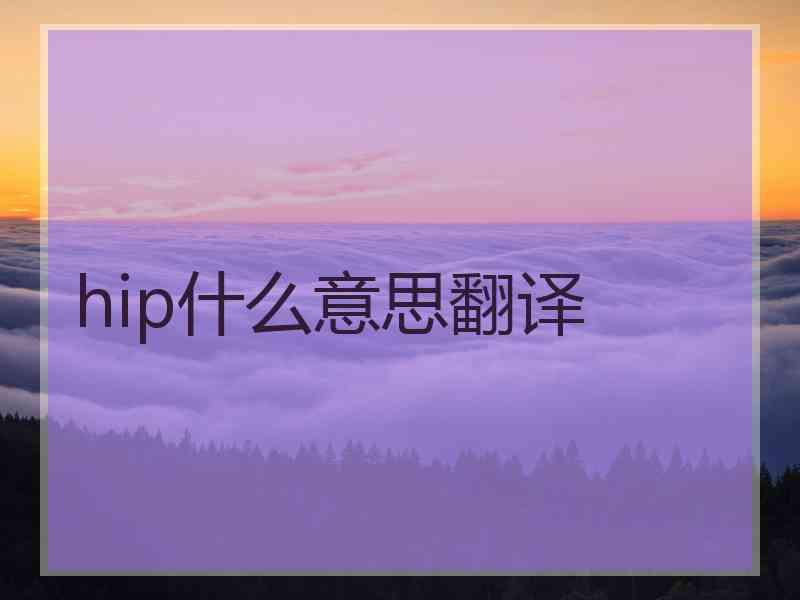 hip什么意思翻译